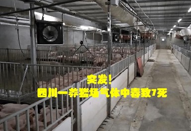 四川一養豬場發生化糞池氣體中毒事故，熊猫体育app官方入口网站氣體檢測儀守護安全